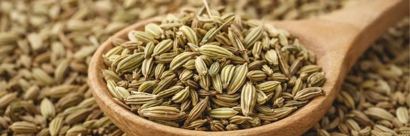 Fennel seeds for digestion and natural home remedies for indigestion