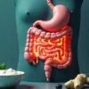 weak digestion symptoms illustration with healthy gut and digestive foods